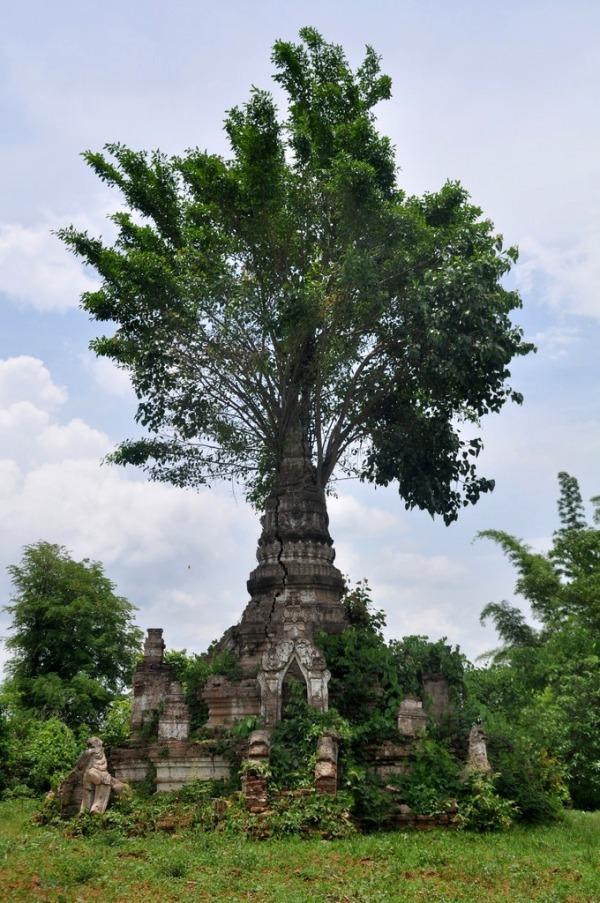 DSC_0028 Viendo la vida pasar desde Hsipaw