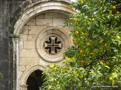 PORTUGAL: ESCAPADA A COIMBRA Y ALCOBAÇA PORTUGAL: ESCAPADA A COIMBRA Y ALCOBAÇA