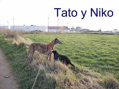 Congregación de amigos felices, fieles y todos unos santos. Congregación de amigos felices, fieles y todos unos santos.