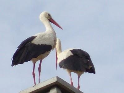 Congregación de amigos felices, fieles y todos unos santos. Congregación de amigos felices, fieles y todos unos santos.