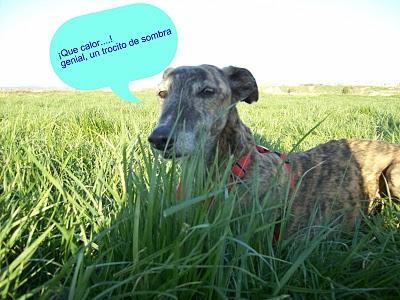 Congregación de amigos felices, fieles y todos unos santos. Congregación de amigos felices, fieles y todos unos santos.