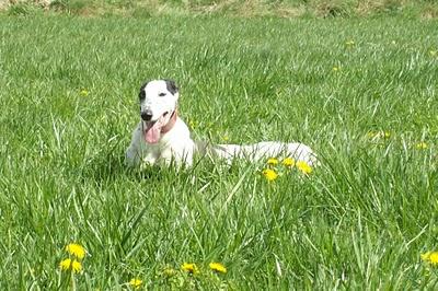 Congregación de amigos felices, fieles y todos unos santos. Congregación de amigos felices, fieles y todos unos santos.