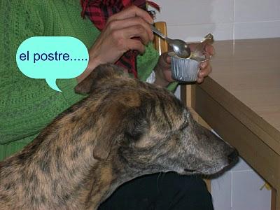 Congregación de amigos felices, fieles y todos unos santos. Congregación de amigos felices, fieles y todos unos santos.