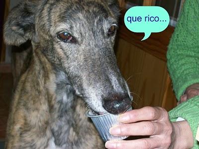 Congregación de amigos felices, fieles y todos unos santos. Congregación de amigos felices, fieles y todos unos santos.