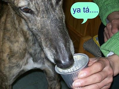 Congregación de amigos felices, fieles y todos unos santos. Congregación de amigos felices, fieles y todos unos santos.