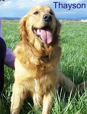 Congregación de amigos felices, fieles y todos unos santos. Congregación de amigos felices, fieles y todos unos santos.