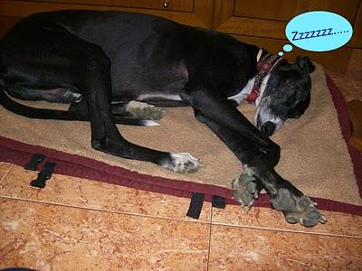 Congregación de amigos felices, fieles y todos unos santos. Congregación de amigos felices, fieles y todos unos santos.