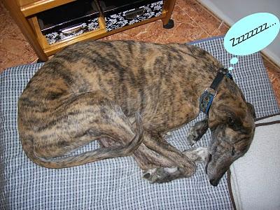 Congregación de amigos felices, fieles y todos unos santos. Congregación de amigos felices, fieles y todos unos santos.