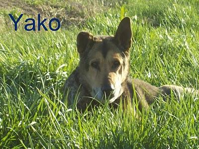 Congregación de amigos felices, fieles y todos unos santos. Congregación de amigos felices, fieles y todos unos santos.