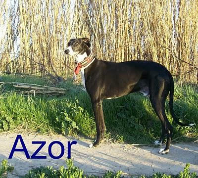 Congregación de amigos felices, fieles y todos unos santos. Congregación de amigos felices, fieles y todos unos santos.