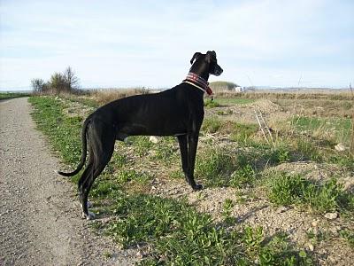 Congregación de amigos felices, fieles y todos unos santos. Congregación de amigos felices, fieles y todos unos santos.