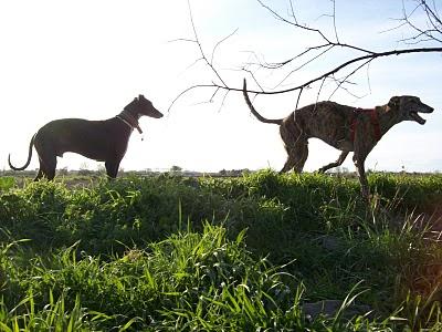Congregación de amigos felices, fieles y todos unos santos. Congregación de amigos felices, fieles y todos unos santos.
