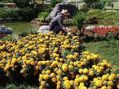 “Curso de jardinería y paisajismo”, Paraguay. “Curso de jardinería y paisajismo”, Paraguay.