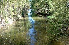 El Parque Natural (I)