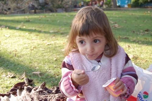 El valor nutricional del Yogur: Energía y proteínas El valor nutricional del Yogur: Energía y proteínas