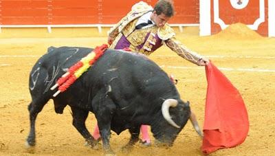 Domingo sin fútbol y sin toros