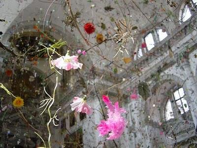 Jardines colgantes Jardines colgantes