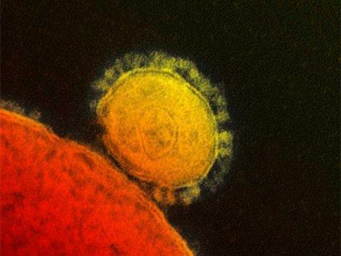 MERS-CoV: El virus que nos vino del Este… MERS-CoV: El virus que nos vino del Este…