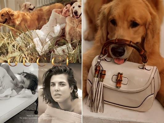 Carlota Casiraghi posa para Gucci rodeada de animales Carlota Casiraghi posa para Gucci rodeada de animales