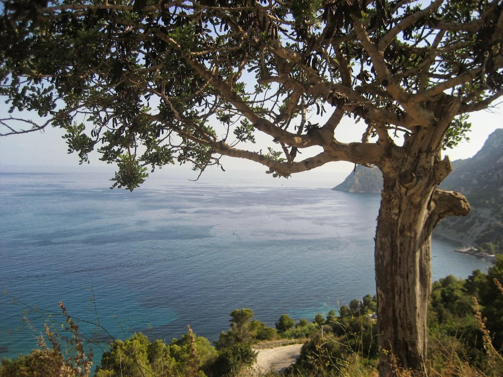 IBIZA...21-09-2013... IBIZA...21-09-2013...