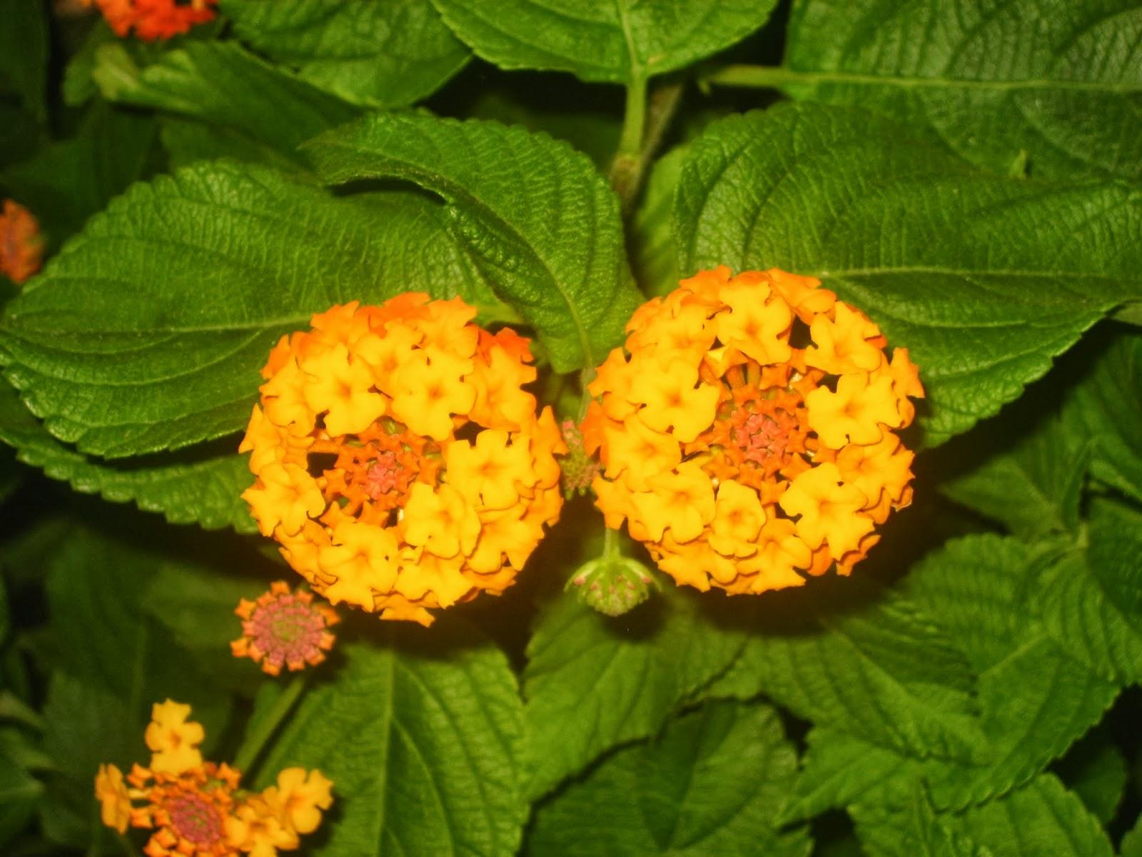 IBIZA...21-09-2013... IBIZA...21-09-2013...