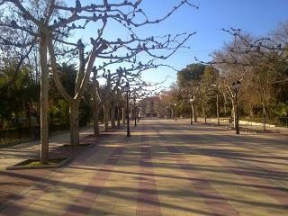 La nieve en el almendro, mi próxima publicación. La nieve en el almendro, mi próxima publicación.