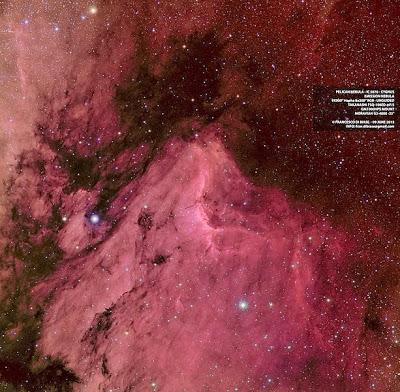 Constelaciones: Cygnus (El Cisne)