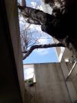 Viaje Arquitectura UDLA a Buenos Aires: La Casa Curutchet Viaje Arquitectura UDLA a Buenos Aires: La Casa Curutchet