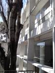 Viaje Arquitectura UDLA a Buenos Aires: La Casa Curutchet Viaje Arquitectura UDLA a Buenos Aires: La Casa Curutchet