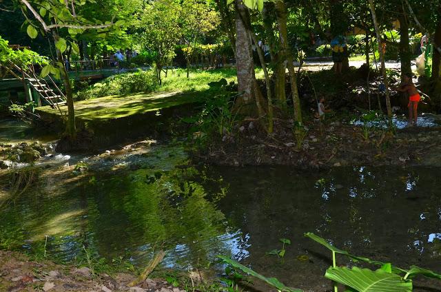 Naturaleza cubana: Rancho Querete