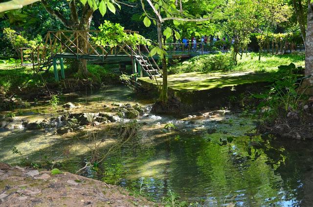 Naturaleza cubana: Rancho Querete