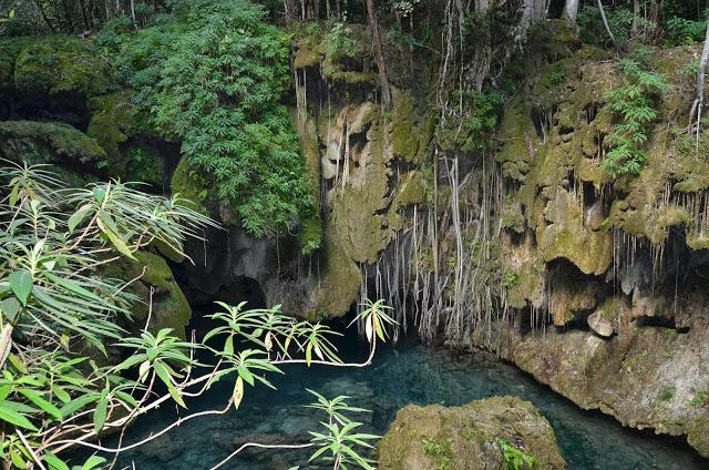 Naturaleza cubana: Rancho Querete