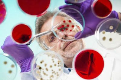 Los 5 descubrimientos médicos más importantes de la historia Los 5 descubrimientos médicos más importantes de la historia
