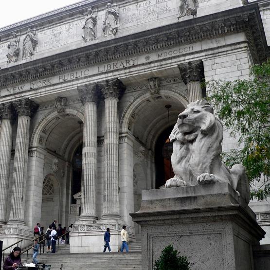 The Public Library gfd