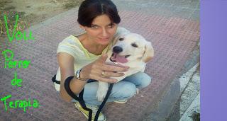 Taller con perros de terapia para personas con discapacidad, tercera edad e infancia Voll un perro de terapia