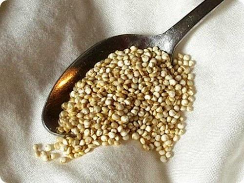 Quinoa Quinoa