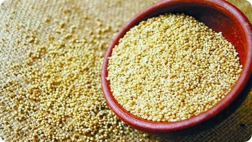 quinoa-salto-escena-mundial quinoa-salto-escena-mundial