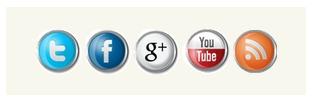 Cómo configurar WordPress y mi posicionamiento web (II) Floating Social Media Icon