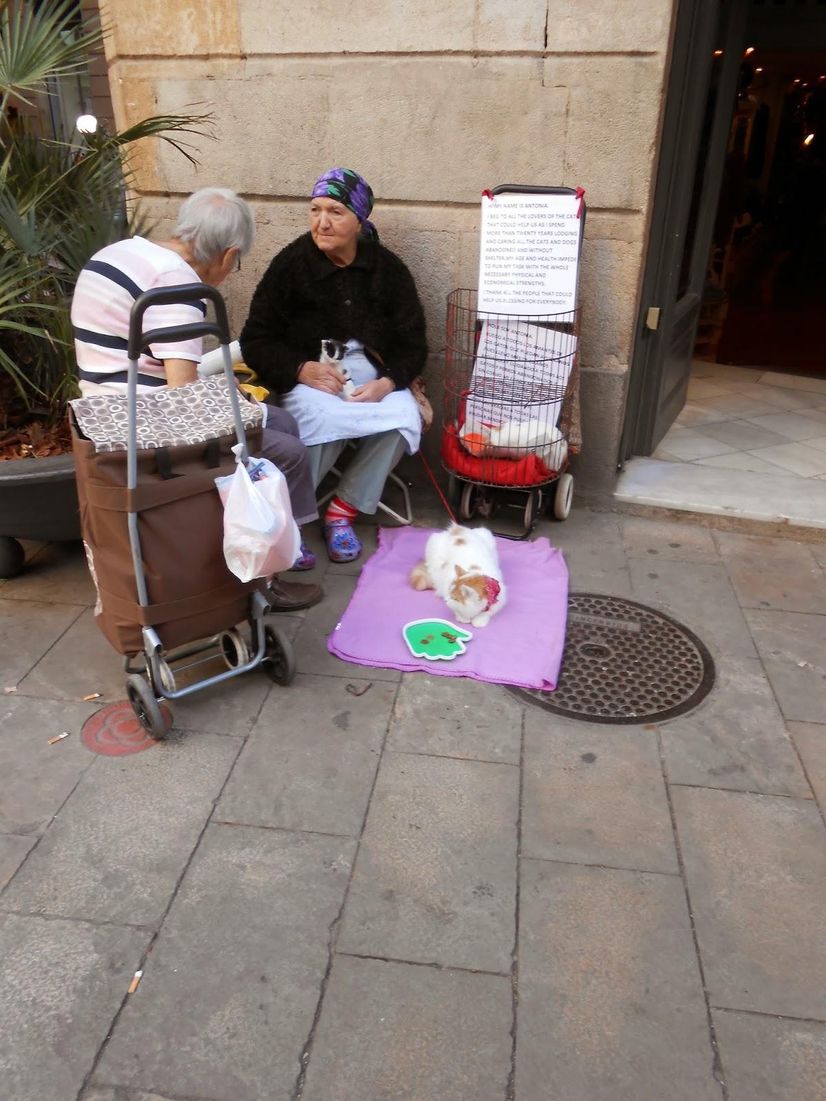 BARCELONA...EL BORN, UNA TARDE CULTURAL...23-09-2013...2ª , PARTE... BARCELONA...EL BORN, UNA TARDE CULTURAL...23-09-2013...2ª , PARTE...