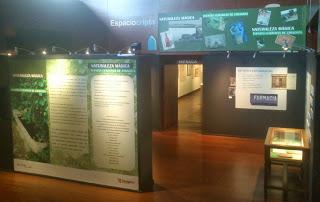 CENTRO DE HISTORIAS, EXPOSICIONES: SIEMPRE JAPÓN & NATURALEZA MÁGICA & SANTA DIÓGENES