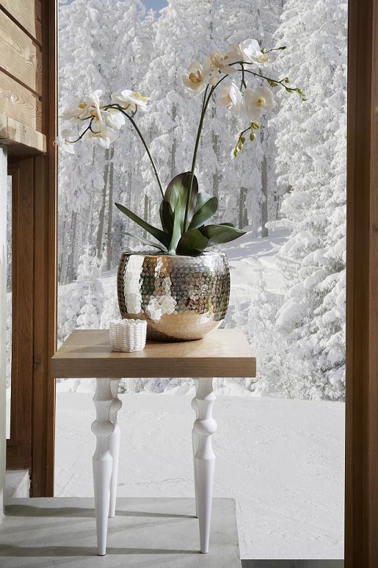 SIA Otoño/Invierno 2013 DSC_2957a