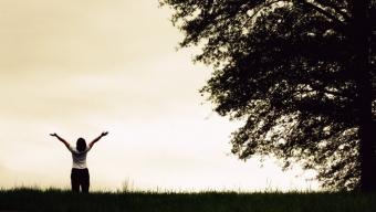 La Ciencia de la Vida: Una investigación que duró 75 años, descubre las claves para vivir una vida plena La Ciencia de la Vida: Una investigación que duró 75 años, descubre las claves para vivir una vida plena