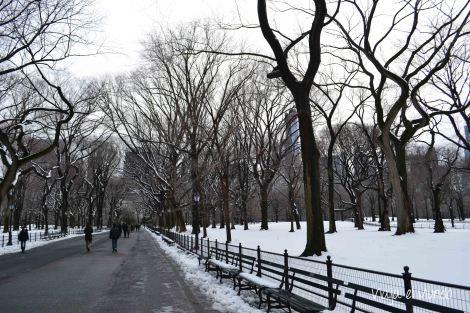 El paseo de los literatos en Nueva York El paseo helado en el Central Park