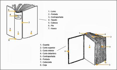 ¿CÓMO GUARDAS TUS LIBROS?