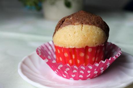 Magdalenas bicolor IMG_2186