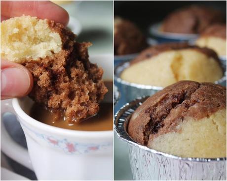 Magdalenas bicolor catsj