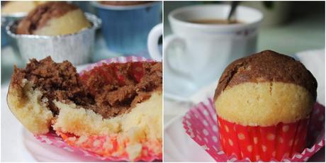 Magdalenas bicolor cats8