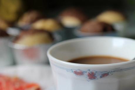 Magdalenas bicolor IMG_2196