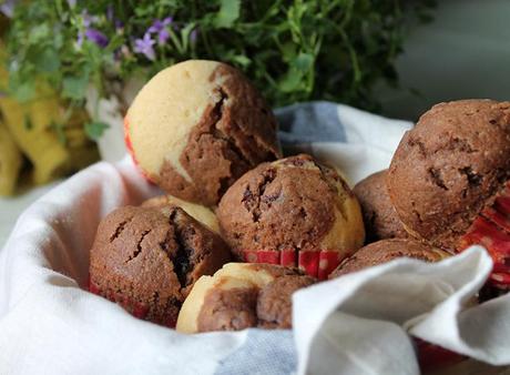 Magdalenas bicolor IMG_2198