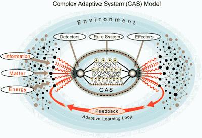 ¿Qué es un Sistema Adaptativo Complejo? *